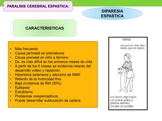 CARACTERISTICAS
• Más frecuente
• Causa perinatal en prematuros
• Causa prenatal en niño a término
• Dx. es más difícil en los primeros meses de vida
• A partir de los 6 meses se evidencia retardo del
desarrollo volteo y reptación.
• Hipertonía extensora y aductora de MMII
• Retardo de la motricidad fina
• Baja incidencia de RM (30%)
• Epilepsia
• Estrabismo
• Problemas visoperceptivos
• Puede desarrollar subluxación de cadera.
DIPARESIA
ESPASTICA
PARALISIS CEREBRAL ESPASTICA:
 