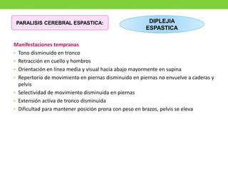 Manifestaciones tempranas
• Tono disminuido en tronco
• Retracción en cuello y hombros
• Orientación en línea media y visual hacia abajo mayormente en supina
• Repertorio de movimiento en piernas disminuido en piernas no envuelve a caderas y
pelvis
• Selectividad de movimiento disminuida en piernas
• Extensión activa de tronco disminuida
• Dificultad para mantener posición prona con peso en brazos, pelvis se eleva
PARALISIS CEREBRAL ESPASTICA: DIPLEJIA
ESPASTICA
 