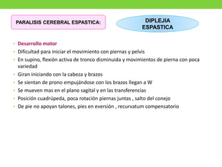 • Desarrollo motor
• Dificultad para iniciar el movimiento con piernas y pelvis
• En supino, flexión activa de tronco disminuida y movimientos de pierna con poca
variedad
• Giran iniciando con la cabeza y brazos
• Se sientan de prono empujándose con los brazos llegan a W
• Se mueven mas en el plano sagital y en las transferencias
• Posición cuadrúpeda, poca rotación piernas juntas , salto del conejo
• De pie no apoyan talones, pies en eversión , recurvatum compensatorio
PARALISIS CEREBRAL ESPASTICA: DIPLEJIA
ESPASTICA
 