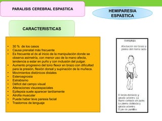 PARALISIS CEREBRAL ESPASTICA
CARACTERISTICAS
• 30 % de los casos
• Causa prenatal más frecuente
• Es frecuente el dx al inicio de la manipulación donde se
observa asimetría, con menor uso de la mano afecta,
tendencia a estar en puño y con inclusión del pulgar.
• Aumento progresivo del tono flexor en brazo con dificultad
para la presión, flexión dorsal y supinación de la muñeca.
• Movimientos distónicos distales
• Esteroagnosia
• Estrabismo
• Déficit del campo visual
• Alteraciones visuoespaciales
• Epilepsia suele aparecer tardíamente
• Atrofia muscular
• Puede haber leve paresia facial
• Trastornos de lenguaje
HEMIPARESIA
ESPASTICA
 