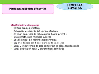 PARALISIS CEREBRAL ESPASTICA
HEMIPLEJIA
ESPASTICA
Manifestaciones tempranas
• Postura supina asimétrica
• Retracción persistente del hombro afectado
• Posición asimétrica de cabeza puede haber torticolis
• Uso asimétrico del miembro superior
• La selectividad del movimiento disminuida
• Soporte de peso con brazos disminuida asimétrico
• Carga y transferencia de peso asimétricas en todas las posiciones
• Carga de peso en pelvis y extremidades asimétrico
 