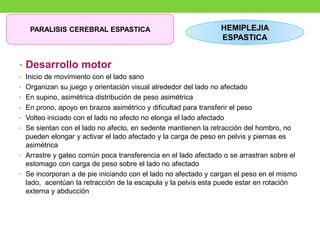 • Desarrollo motor
• Inicio de movimiento con el lado sano
• Organizan su juego y orientación visual alrededor del lado no afectado
• En supino, asimétrica distribución de peso asimétrica
• En prono, apoyo en brazos asimétrico y dificultad para transferir el peso
• Volteo iniciado con el lado no afecto no elonga el lado afectado
• Se sientan con el lado no afecto, en sedente mantienen la retracción del hombro, no
pueden elongar y activar el lado afectado y la carga de peso en pelvis y piernas es
asimétrica
• Arrastre y gateo común poca transferencia en el lado afectado o se arrastran sobre el
estomago con carga de peso sobre el lado no afectado
• Se incorporan a de pie iniciando con el lado no afectado y cargan el peso en el mismo
lado, acentúan la retracción de la escapula y la pelvis esta puede estar en rotación
externa y abducción
PARALISIS CEREBRAL ESPASTICA HEMIPLEJIA
ESPASTICA
 