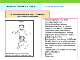 PARALISIS CEREBRAL ATÁXICA 5-10% de los casos
Se lesiona el cerebelo o sus conexiones
corticopontocerebelosas
• Hipotonía general más en la
musculatura proximal
• Hiperextensibilidad articular
• Deficiente estabilidad al intentar
mantener una postura o equilibrio
• Imprecisión de los movimientos
voluntarios coordinados de alcance
• Imprecisión de movimientos oculares
• Estrabismo alternante
• Disminución y poco control en la fuerza
• Temblor intencional en niños mayores
• Incapacidad para regular el movimiento
• Mo. Tensos evidentes en el cambio de
dirección
• incapacidad para realizar movimientos
alternantes répidos
• Disartria
• Nistagmos
 