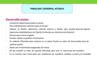 Desarrollo motor
• Control de cabeza disminuido en prono
• Poca habilidad para sostener peso en brazos
• Caderas en flexión, abducción, rotación externa y flexión para ampliar base de soporte
(aparente estabilidad pero en fijación limitando sus reacciones de balance)
• Demora para iniciar el gateo
• Ruedan rápido no gradúan movimiento
• En sedente dificultad para moverse en el plano frontal no salen de línea media, base de
soporte amplia
• Gateo con movimientos exagerados de tronco
• De pie amplían su base de soporte dificultad para usar su reacciones de equilibrio
• En la marcha caen hacia atrás por problemas de equilibrio amplían su base y es inestable
PARALISIS CEREBRAL ATÁXICA
 