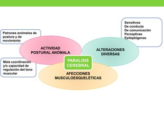 Mala coordinación
y/o capacidad de
regulación del tono
muscular
Patrones anómalos de
postura y de
movimiento
ACTIVIDAD
POSTURAL ANÓMALA
Sensitivos
De conducta
De comunicación
Perceptivas
Epileptógenas
ALTERACIONES
DIVERSAS
AFECCIONES
MUSCULOESQUELÉTICAS
PARALISIS
CEREBRAL
 