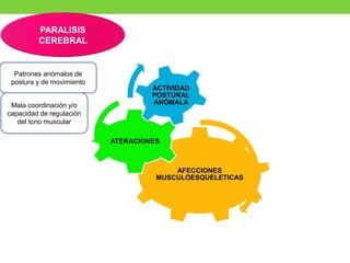 PARALISIS
CEREBRAL
AFECCIONES
MUSCULOESQUELETICAS
ATERACIONES
ACTIVIDAD
POSTURAL
ANÓMALA
Patrones anómalos de
postura y de movimiento
Mala coordinación y/o
capacidad de regulación
del tono muscular
 