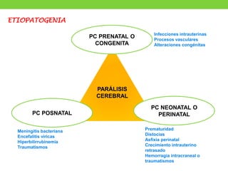 PARÁLISIS
CEREBRAL
PARÁLISIS
CEREBRAL
PC POSNATAL
PC NEONATAL O
PERINATAL
PC PRENATAL O
CONGENITA
ETIOPATOGENIA
Infecciones intrauterinas
Procesos vasculares
Alteraciones congénitas
Prematuridad
Distocias
Asfixia perinatal
Crecimiento intrauterino
retrasado
Hemorragia intracraneal o
traumatismos
Meningitis bacteriana
Encefalitis víricas
Hiperbilirrubinemia
Traumatismos
 