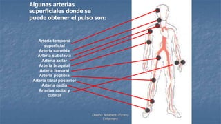 Diseño: Adalberto Pizarro
Enfermero
Algunas arterias
superficiales donde se
puede obtener el pulso son:
Arteria temporal
superficial
Arteria carótida
Arteria subclavia
Arteria axilar
Arteria braquial
Arteria femoral
Arteria poplítea
Arteria tibial posterior
Arteria pedia
Arterias radial y
cubital
 