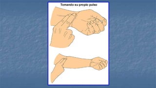 Diseño: Adalberto Pizarro
Enfermero
 