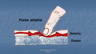 Diseño: Adalberto Pizarro
Enfermero
 