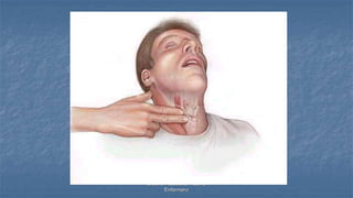 Diseño: Adalberto Pizarro
Enfermero
 