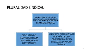 PLURALIDAD SINDICAL
COEXISTENCIA DE DOS O
MÁS ORGANIZACIONES EN
EL MISMO ÁMBITO.
DIFICULTAD DEL
EMPRESARIO PARA
VISLUMBRAR A SU
CONTRAPARTE.
UN GRUPO REPRESENTADO
POR MÁS DE UNA
ORGNIZACIÓN, RESTA
EFICACIA A LA ACCIÓN
SINDICAL.
13
 