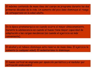 El máximo contenido de masa ósea del cuerpo se programa durante las dos
primeras décadas de la vida. Un aumento del pico óseo disminuye el riesgo
de osteoporosis en la edad adulta.
En la época premenarquica es cuando ocurre el mayor almacenamiento.
Durante la adolescencia es cuando el hueso tiene mayor capacidad de
adaptación a las cargas mecánicas (es cuando el ejercicio es más
conveniente).
El alcohol y el tabaco disminuye esta reserva de masa ósea. El ejercicio lo
aumenta (a cualquier edad). El sedentarismo lo disminuye.
El hueso cortical se engruesa por aposición perióstica y el medular por
osificación endocondral
 