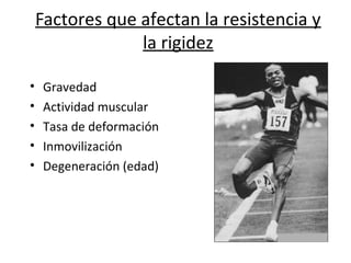 Factores que afectan la resistencia y
la rigidez
• Gravedad
• Actividad muscular
• Tasa de deformación
• Inmovilización
• Degeneración (edad)
 