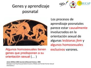 Genes y aprendizaje
            posnatal
                                                                  Los procesos de
                                                                  aprendizaje posnatales
                                                                  parece estar causalmente
                                                                  involucrados en la
                                                                  orientación sexual de
                                                                  algunas lesbianas fem y
                                                                  algunos homosexuales
Algunos homosexuales tienen                                       exclusivos varones.
genes que predisponen a su
orientación sexual (… )
James William 2005 Journal of Biosocial Science, 2005
Biological and Psychosocial Determinants of Male and Female Human Sexual
Orientation,“
 