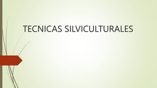 TECNICAS SILVICULTURALES
 