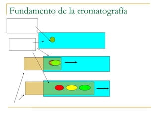 Fundamento de la cromatografía Muestra: tres componentes mezclados Fase   móvil Fase estacionaria Se hace fluir una fase móvil sobre la estacionaria Dependiendo de la afinidad relativa por ambas fases, los componentes de la mezcla se separan Se dispone una mezcla sobre una fase estacionaria 