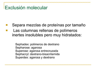 Exclusión molecular Separa mezclas de proteínas por tamaño Las columnas rellenas de polímeros inertes  insolubles pero muy hidratados: Sephadex: polimeros de dextrano Sepharose: agarosa Superose: agarosa entrecruzada Sephacryl: dextrano-bisacrilamida  Superdex: agarosa y dextrano 