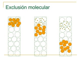 Exclusión molecular 