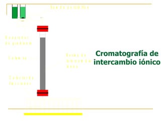 Cromatografía de intercambio iónico 