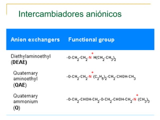 Intercambiadores aniónicos 