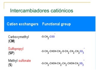 Intercambiadores catiónicos 