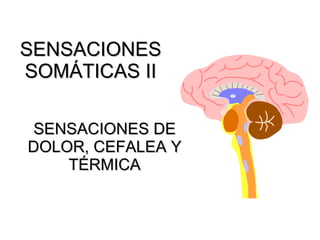 SENSACIONES
SOMÁTICAS II

SENSACIONES DE
DOLOR, CEFALEA Y
    TÉRMICA
 
