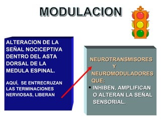 ALTERACION DE LA
SEÑAL NOCICEPTIVA
DENTRO DEL ASTA
                        NEUROTRANSMISORES
DORSAL DE LA
                               Y
MEDULA ESPINAL.
                        NEUROMODULADORES
AQUÍ, SE ENTRECRUZAN    QUE:
LAS TERMINACIONES       INHIBEN, AMPLIFICAN
NERVIOSAS, LIBERAN       O ALTERAN LA SEÑAL
                         SENSORIAL.
 