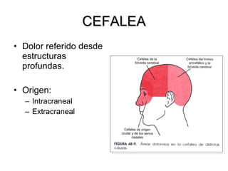 CEFALEA
• Dolor referido desde
  estructuras
  profundas.

• Origen:
  – Intracraneal
  – Extracraneal
 