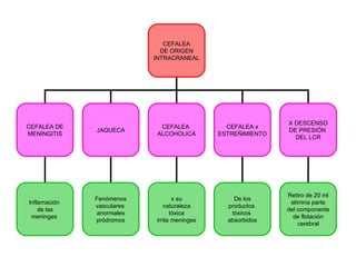 CEFALEA
                             DE ORIGEN
                           INTRACRANEAL




                                                             X DESCENSO
CEFALEA DE                  CEFALEA            CEFALEA x
              JAQUECA                                        DE PRESIÓN
MENINGITIS                 ALCOHOLICA        ESTREÑIMIENTO
                                                               DEL LCR




                                                             Retiro de 20 ml
              Fenómenos           x su           De los
Inflamación                                                   elimina parte
              vasculares      naturaleza       productos
    de las                                                   del componente
               anormales         tóxica         tóxicos
 meninges                                                      de flotación
              pródromos    irrita meninges     absorbidos
                                                                 cerebral
 