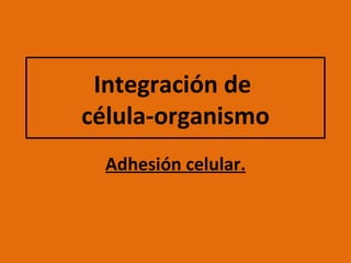 Adhesión celular. Integración de  célula-organismo 