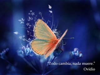 “Todo cambia, nada muere.”
Ovidio

 