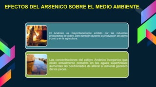 EFECTOS DEL ARSENICO SOBRE EL MEDIO AMBIENTE
El Arsénico es mayoritariamente emitido por las industrias
productoras de cob...