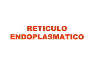 RETICULO
ENDOPLASMATICO
 