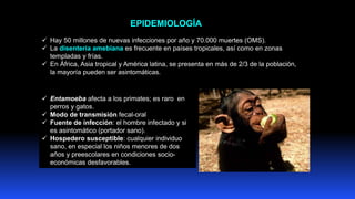 ✓ Hay 50 millones de nuevas infecciones por año y 70.000 muertes (OMS).
✓ La disentería amebiana es frecuente en países tr...