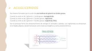 Clase 6. Lípidos-Metabolismo de lípidos[1].pdf