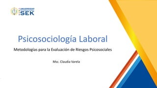 Psicosociología Laboral
Metodologías para la Evaluación de Riesgos Psicosociales
Msc. Claudia Varela
 