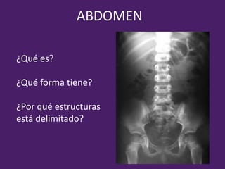 ABDOMEN
¿Qué es?
¿Qué forma tiene?
¿Por qué estructuras
está delimitado?
 