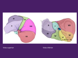 Vista superior Vista inferior
 