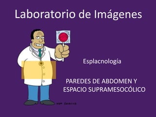 Laboratorio de Imágenes
Esplacnología
PAREDES DE ABDOMEN Y
ESPACIO SUPRAMESOCÓLICO
 