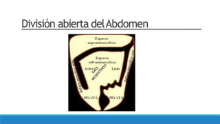 Clase 6 salud - Anatomia Abdomen II.pptx