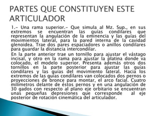 1.- Una rama superior.- Que simula al Mz. Sup., en sus
extremos se encuentran las guías condilares que
representan la angulación de la eminencia y las guías del
movimientos lateral, para la pared interna de la cavidad
glenoidea. Trae dos pares espaciadores o anillos condilares
para guardar la distancia intercondilar.
En la parte anterior trae un tornillo para ajustar el vástago
incisal, y otro en la rama para ajustar la platina donde va
colocado, el modelo superior. Presenta además otros dos
tornillos en la parte posterior para ajustar las guías
condilares y las guías del movimiento lateral. Hacia los
extremos de las guías condilares van colocados dos pernos o
proyecciones de bronce para montar, el arco facial. Cuatro
milímetros delante de éstos pernos y en una angulación de
30 gados con respecto al plano eje orbitario se encuentran
unas pequeñas depresiones que corresponde al eje
posterior de rotación cinemática del articulador.
 