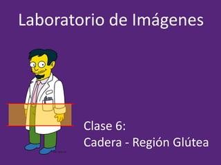 Laboratorio de Imágenes
Clase 6:
Cadera - Región Glútea
 
