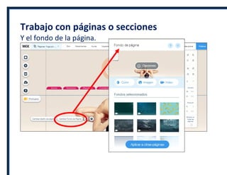 Trabajo con páginas o secciones
Y el fondo de la página.
 