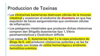 Produccion de Toxinas
• Las citotoxinas bacterianas destruyen células de la mucosa
intestinal y ocasionan el síndrome de disentería en que hay
expulsión de heces sanguinolentas que contienen células
de inflamación.
• Los patógenos intestinales que producen dichas citotoxinas
compren den Shigella dysenteriae tipo 1, Vibrio
parahaemolyticus y Clostridium difficile
• Las cepas de S. dysenteriae tipo 1 y la cepa productora de
Shiga de E. coli producen citotoxinas potentes y se les ha
vinculado con brotes de colitis hemorrágica y síndrome
hemolítico-urémico.
 