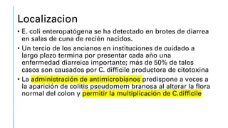 Localizacion
• E. coli enteropatógena se ha detectado en brotes de diarrea
en salas de cuna de recién nacidos.
• Un tercio de los ancianos en instituciones de cuidado a
largo plazo termina por presentar cada año una
enfermedad diarreica importante; más de 50% de tales
casos son causados por C. difficile productora de citotoxina
• La administración de antimicrobianos predispone a veces a
la aparición de colitis pseudomem branosa al alterar la flora
normal del colon y permitir la multiplicación de C.difficile
 