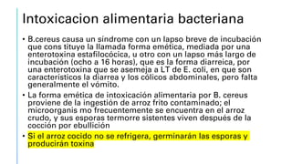 Intoxicacion alimentaria bacteriana
• B.cereus causa un síndrome con un lapso breve de incubación
que cons tituye la llamada forma emética, mediada por una
enterotoxina estafilocócica, u otro con un lapso más largo de
incubación (ocho a 16 horas), que es la forma diarreica, por
una enterotoxina que se asemeja a LT de E. coli, en que son
característicos la diarrea y los cólicos abdominales, pero falta
generalmente el vómito.
• La forma emética de intoxicación alimentaria por B. cereus
proviene de la ingestión de arroz frito contaminado; el
microorganis mo frecuentemente se encuentra en el arroz
crudo, y sus esporas termorre sistentes viven después de la
cocción por ebullición
• Si el arroz cocido no se refrigera, germinarán las esporas y
producirán toxina
 