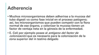 Adherencia
• Muchos microorganismos deben adherirse a la mucosa del
tubo digesti vo como fase inicial en el proceso patógeno;
así, los microorganismos que pueden competir con la flora
normal de ese órgano, y colonizar la mucosa tienen un
factor de ventaja neta en la génesis de la enfermedad.
• E. Coli por ejemplo posee al antígeno del factor de
colonización que es necesario para la colonización de la
zona superior del in testino delgado
 