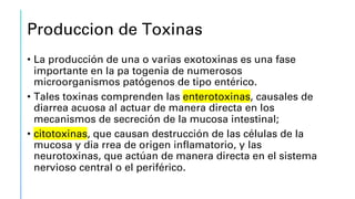 Produccion de Toxinas
• La producción de una o varias exotoxinas es una fase
importante en la pa togenia de numerosos
microorganismos patógenos de tipo entérico.
• Tales toxinas comprenden las enterotoxinas, causales de
diarrea acuosa al actuar de manera directa en los
mecanismos de secreción de la mucosa intestinal;
• citotoxinas, que causan destrucción de las células de la
mucosa y dia rrea de origen inflamatorio, y las
neurotoxinas, que actúan de manera directa en el sistema
nervioso central o el periférico.
 