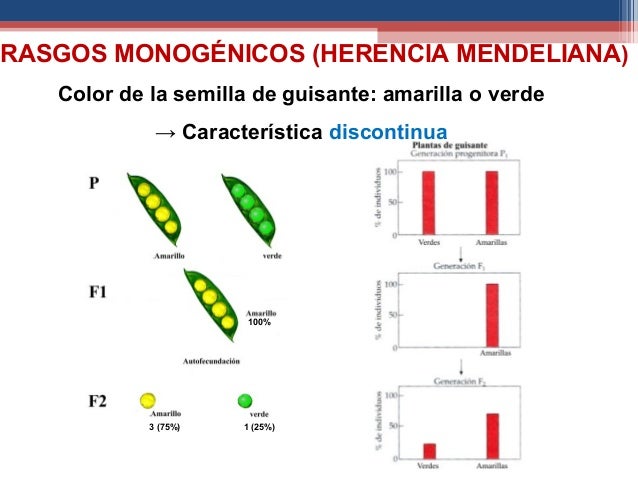 Herencia Poligenica Pdf